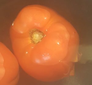 Blanching Tomatoes
